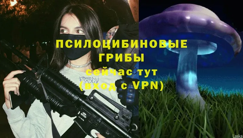 Галлюциногенные грибы Magic Shrooms  Ярославль 